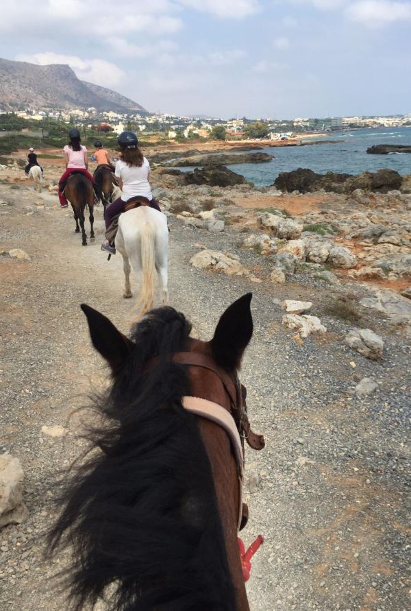 STALIS HORSE RIDING 36