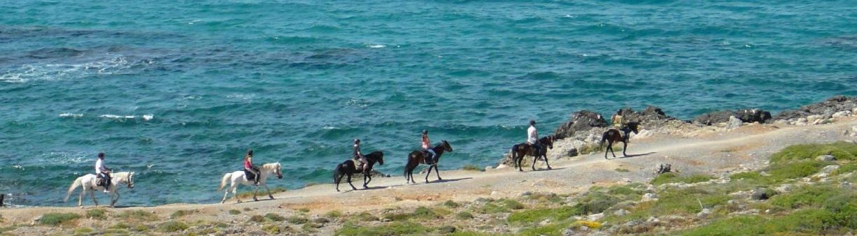 STALIS HORSE RIDING 36