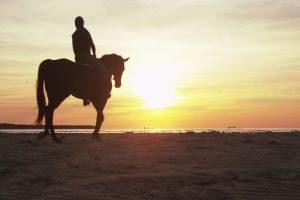 finikiahorseriding-afternoon300x200