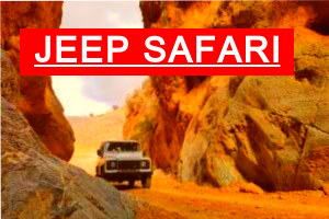 JEEP SAFARI